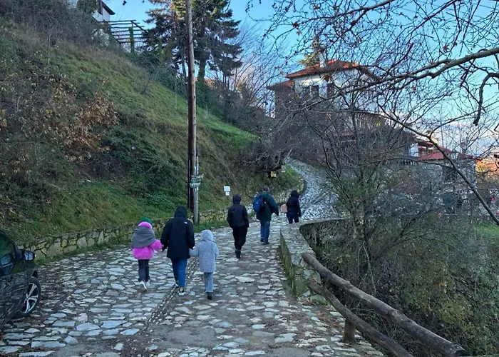 Πανσιόν Eleni 3*